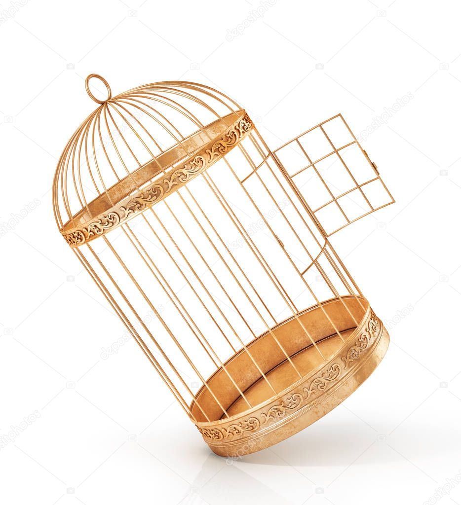 Success concept. Open bird's cell isolation on a white background. 3d illustration