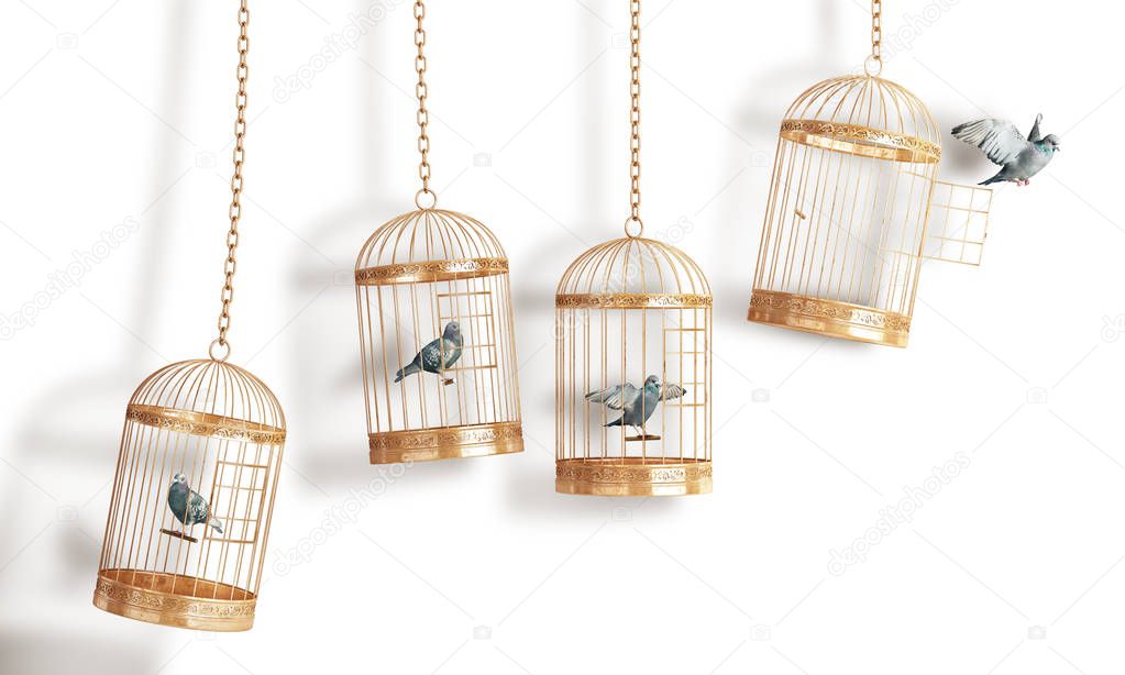 Success concept. Open bird's cell isolation on a white background. 3d illustration