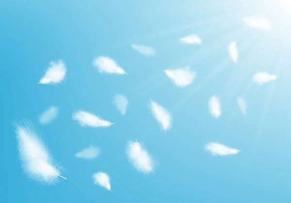 Imagen Fondo Abstracta Plumas Blancas Volando Aire Ilustración Vectorial — Archivo Imágenes Vectoriales