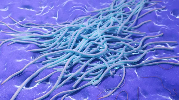 박테리아 렌더링 — 스톡 사진