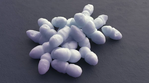 表皮葡萄球菌3D — 图库照片
