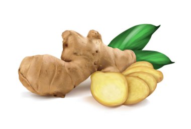 ginger roots on white background clipart
