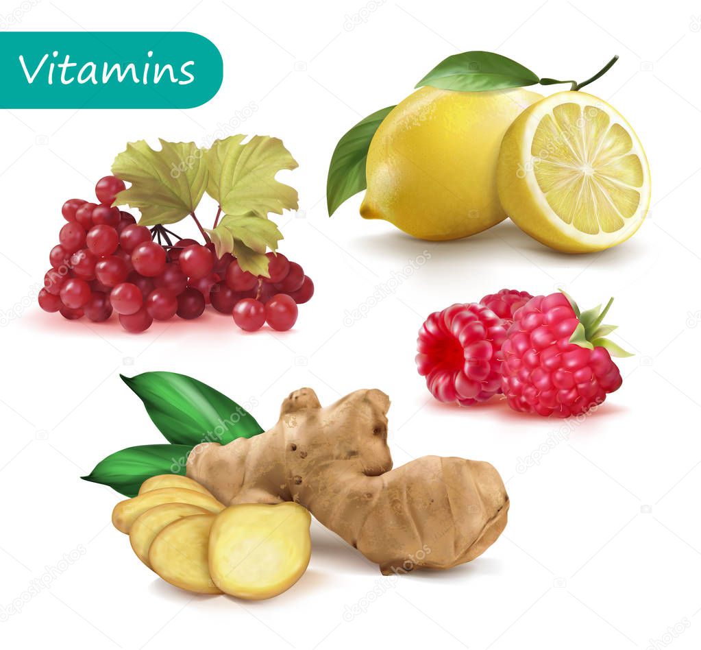 Set of vitamins to strengthen the immunity viburnum, lemon, ginger, raspberry. Vector illustration.