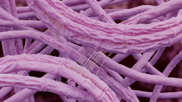 Bacillus Anthracis Lépfene Illusztráció — Stock Fotó