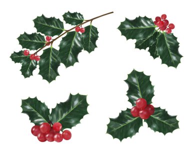 Holly Noel süsleri kümesi. Vektör çizim