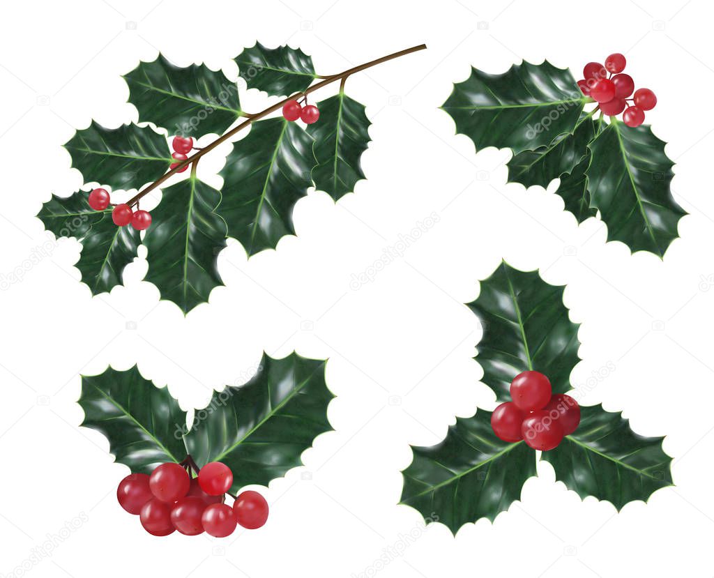 Set of holly christmas decorations. Vector illustration