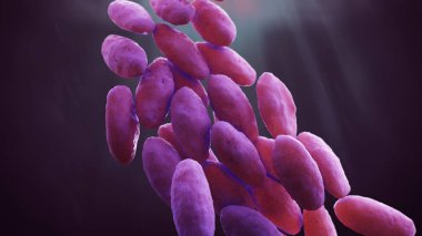 Carbapenem dirençli Enterobacteriaceae 3d çizim