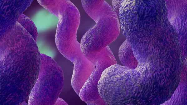 campylobacter 3d illustration microbe