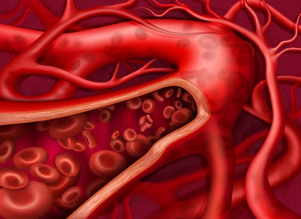 Ilustração Vetorial Circulação Sangue Veia — Vetor de Stock