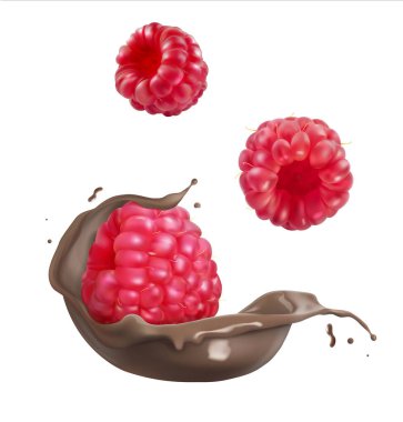 Çikolata sıçrama ahududu ile. Beyaz arka plan üzerinde gerçekçi illüstrasyon vektör.