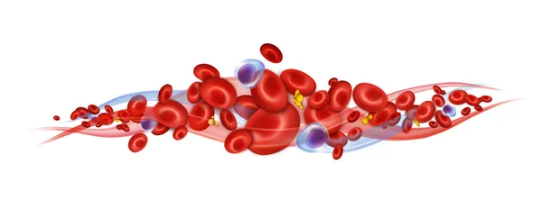 Des Globules Sanguins Leucocytes Érythrocytes Plaquettes Composition Vectorielle — Image vectorielle