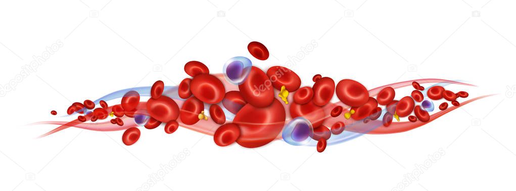 Blood corpuscles. Leucocytes, erythrocytes and platelets. Vector composition.