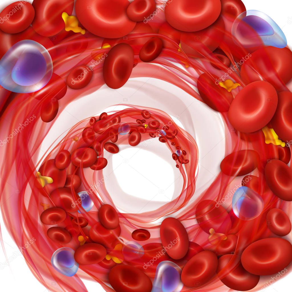 Circulation of erythrocytes, leukocytes and platelets in plasma. Vector illustration isolated on white background.
