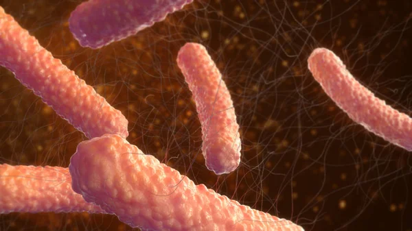 바이러스 박테리아 — 스톡 사진