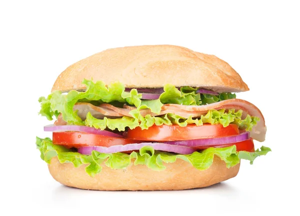 Tasty Hamburger Isolated White Background — Stock Photo, Image
