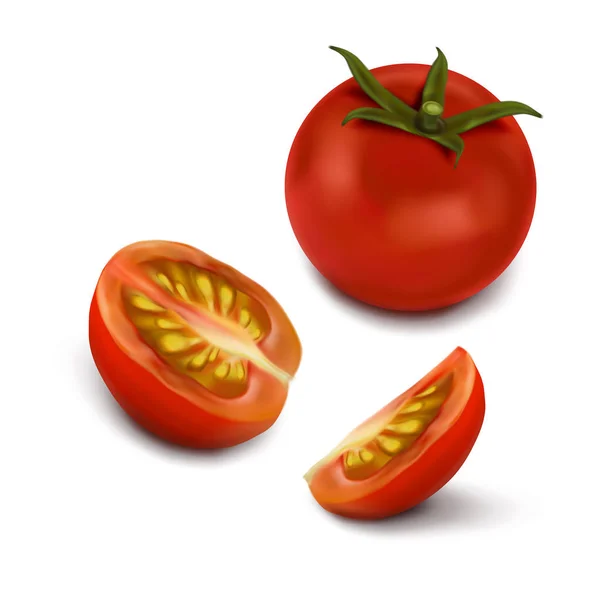 Tomates Rojos Cereza Tomate Entero Medio Tomate Cuarto Tomate Ilustración — Vector de stock