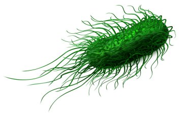 Yeşil bakteri salmonella. Vektör çizim üzerinde beyaz backgr
