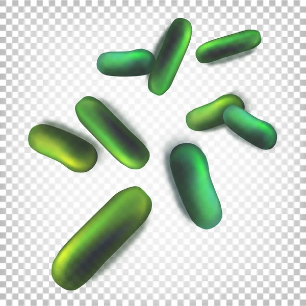 Bacterias verdes en forma de barra. Ilustración vectorial en transpar blanco — Archivo Imágenes Vectoriales