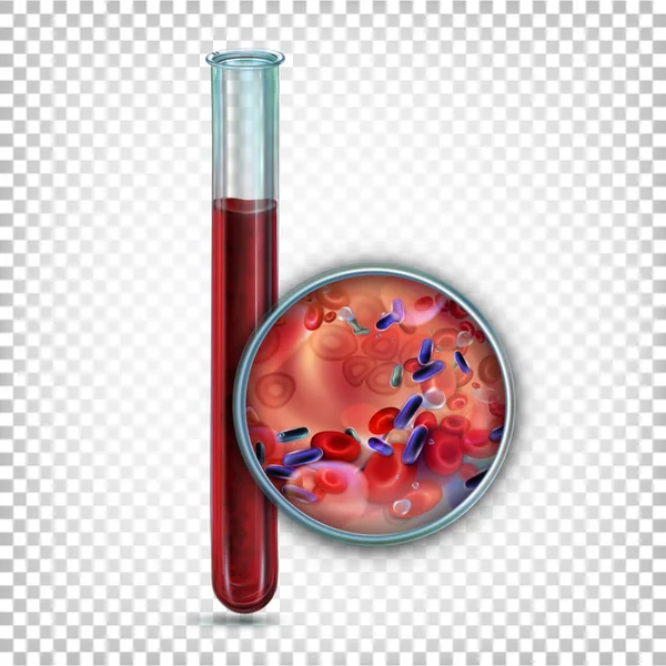 实验室玻璃试管与血液。扩血下 — 图库矢量图片