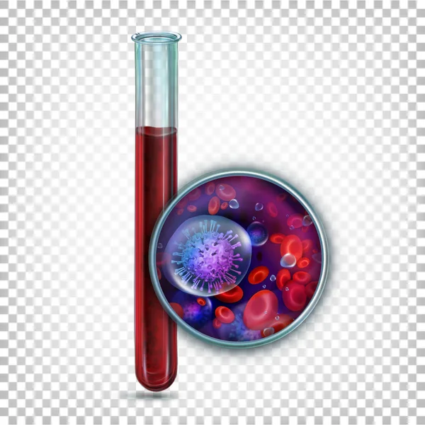 Tube à essai en verre de laboratoire avec du sang. Élargissement du sang sous le — Image vectorielle
