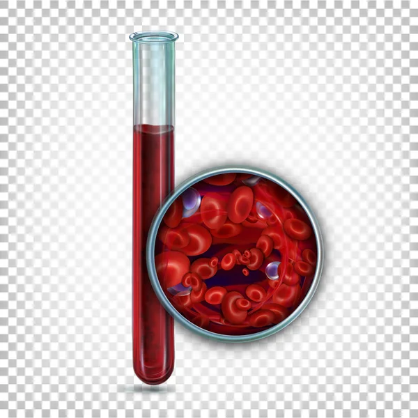 Laboratory glass test tube with blood. Enlarged blood under the microscope. Vector illustration on a transparent background. — Stock Vector