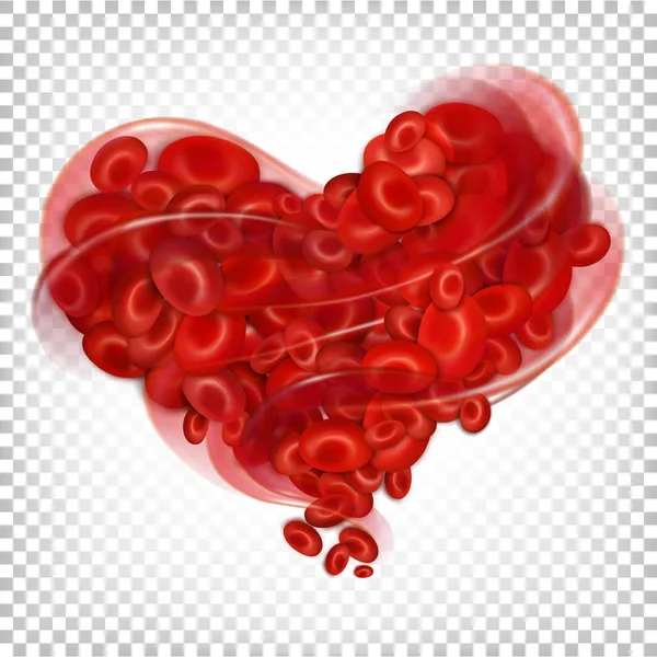 Coração de glóbulos vermelhos. Ilustração vetorial isolada em transparen branco — Vetor de Stock