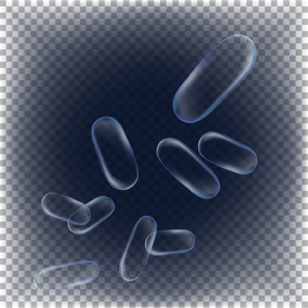 Las Bacterias Transparentes Ilustración Vectorial Sobre Fondo Transparente — Archivo Imágenes Vectoriales