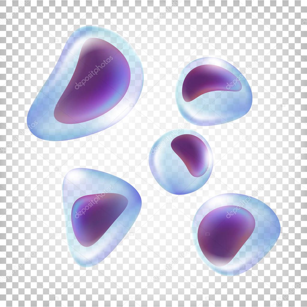 Leukocytes. White blood cells. Vector illustration isolated on white transparent background.