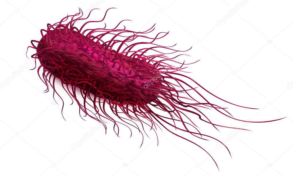 Pink bacteria salmonella. Vector illustration on a white backgro
