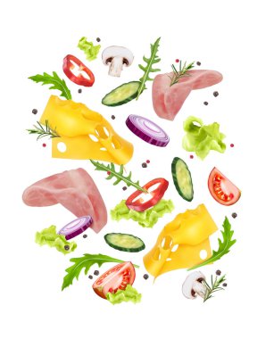 vektör illüstrasyon Roka salata peynir