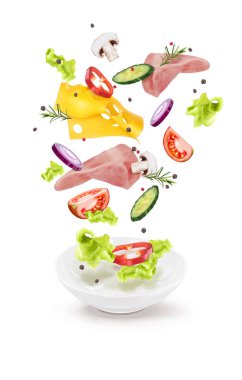 Bir salatalık salata peyniri et mantar vektör Illustration