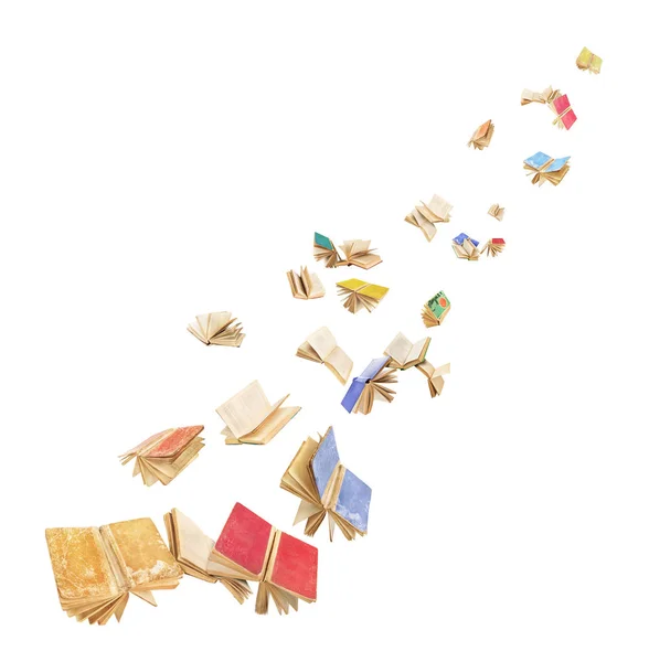 A flock of old books is flying on a white background — Stock Photo, Image