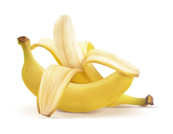 Vektor realistische Darstellung von Bananen. geschälte Banane und geschlossene Früchte. — Stockvektor