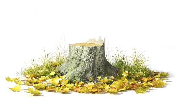 Stump avec des feuilles isolées sur un blanc. Illustration 3d — Photo