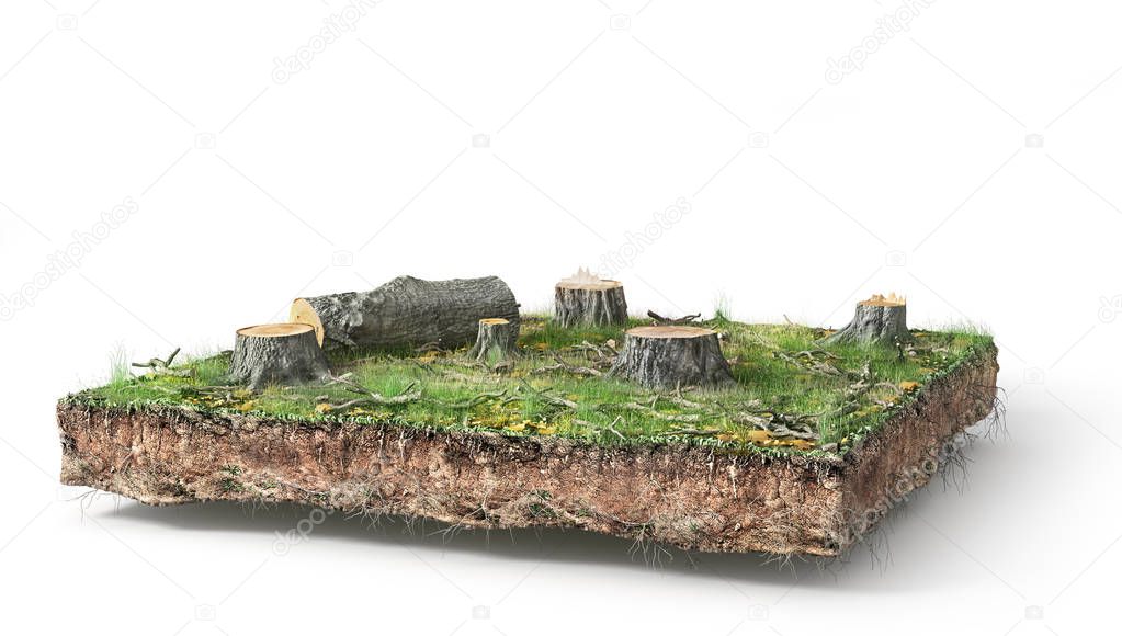 Stump with leaves isolated on a white. 3d illustration