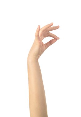 womens hand hold something isolated