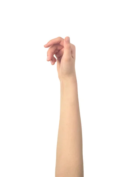 Жіноча рука тримає щось ізольоване — стокове фото