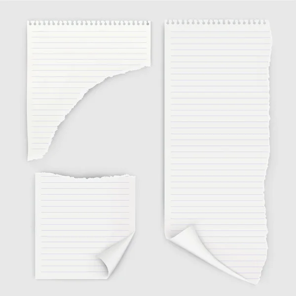 Conjunto de pedaços rasgados de papel de caderno . — Vetor de Stock