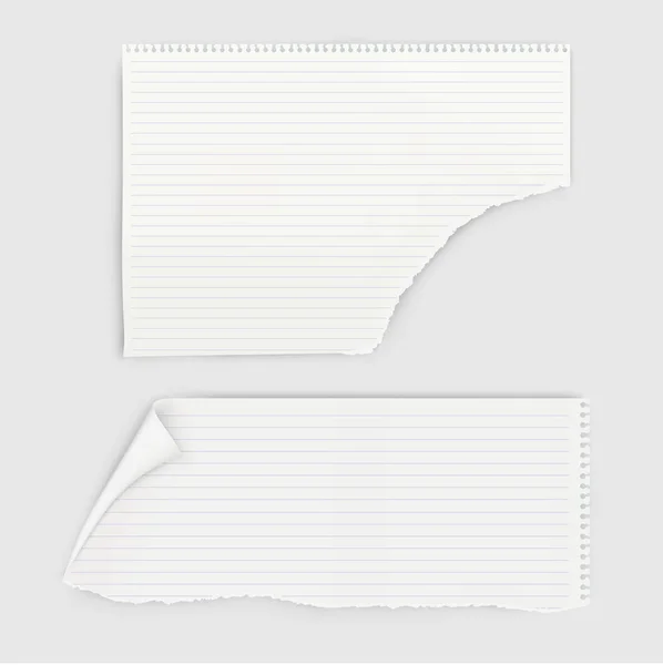 Set of pieces notebook paper with round perforation. — Stock Vector