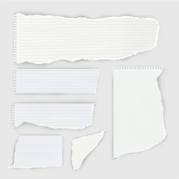 Set of pieces of ripped notebook paper. — Stock Vector