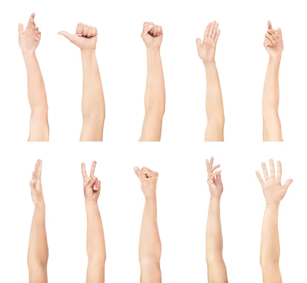 Set of womens hand on a white background — Stock Photo, Image