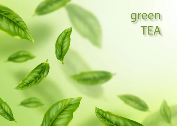 Летающие зеленые листья. Концепция рекламы чая. Векторные иллюстрации — стоковый вектор