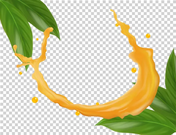 Splash de suco de frutas com folhas verdes. Ilustração vetorial sobre fundo transparente . — Vetor de Stock