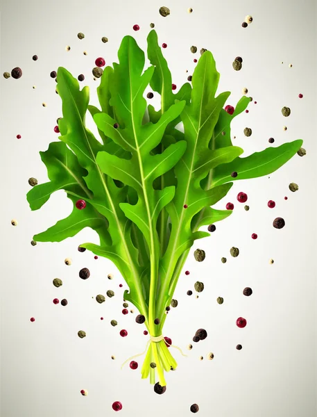 Feuilles de rucola fraîches vertes et épices Illustration vectorielle isolée — Image vectorielle