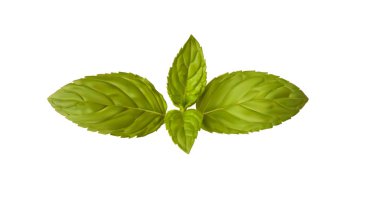 Çeviri: nazo82 Shagrathian