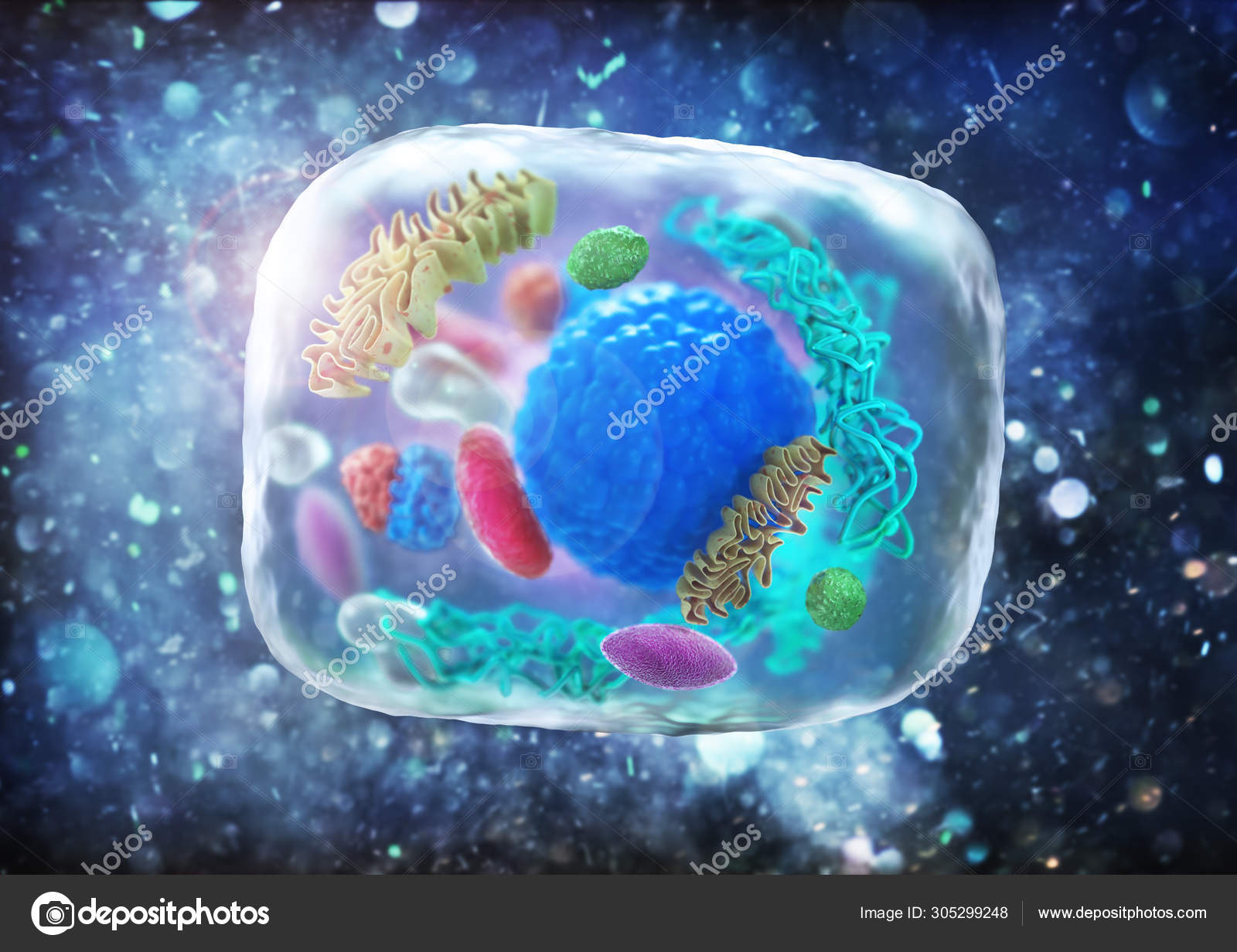 Human (animal) cell under microscope. 3d illustration Stock Photo by  ©urfingus 305299248