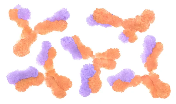 Antibodies in different positions isolated on a white background. 3d Illustration — Stock Photo, Image