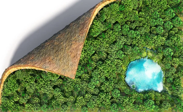 Öko Konzept Waldteppich Mit Geschwungenem Rand Illustration — Stockfoto