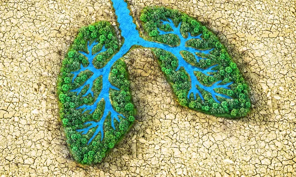 Koncepcja Ekologiczna Drzewa Rzeką Postaci Ludzkich Płuc Pustyni Ilustracja — Zdjęcie stockowe