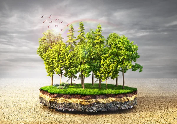 Eco Concept Paradiso Verde Sull Isola Nel Deserto Illustrazione — Foto Stock